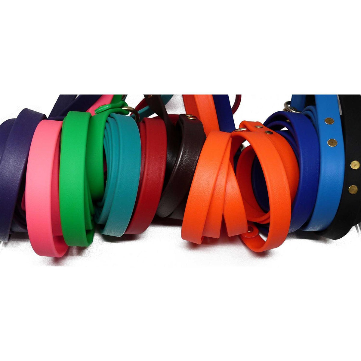 Dog Leash S912355