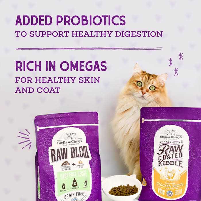 Dry Cat Food K493