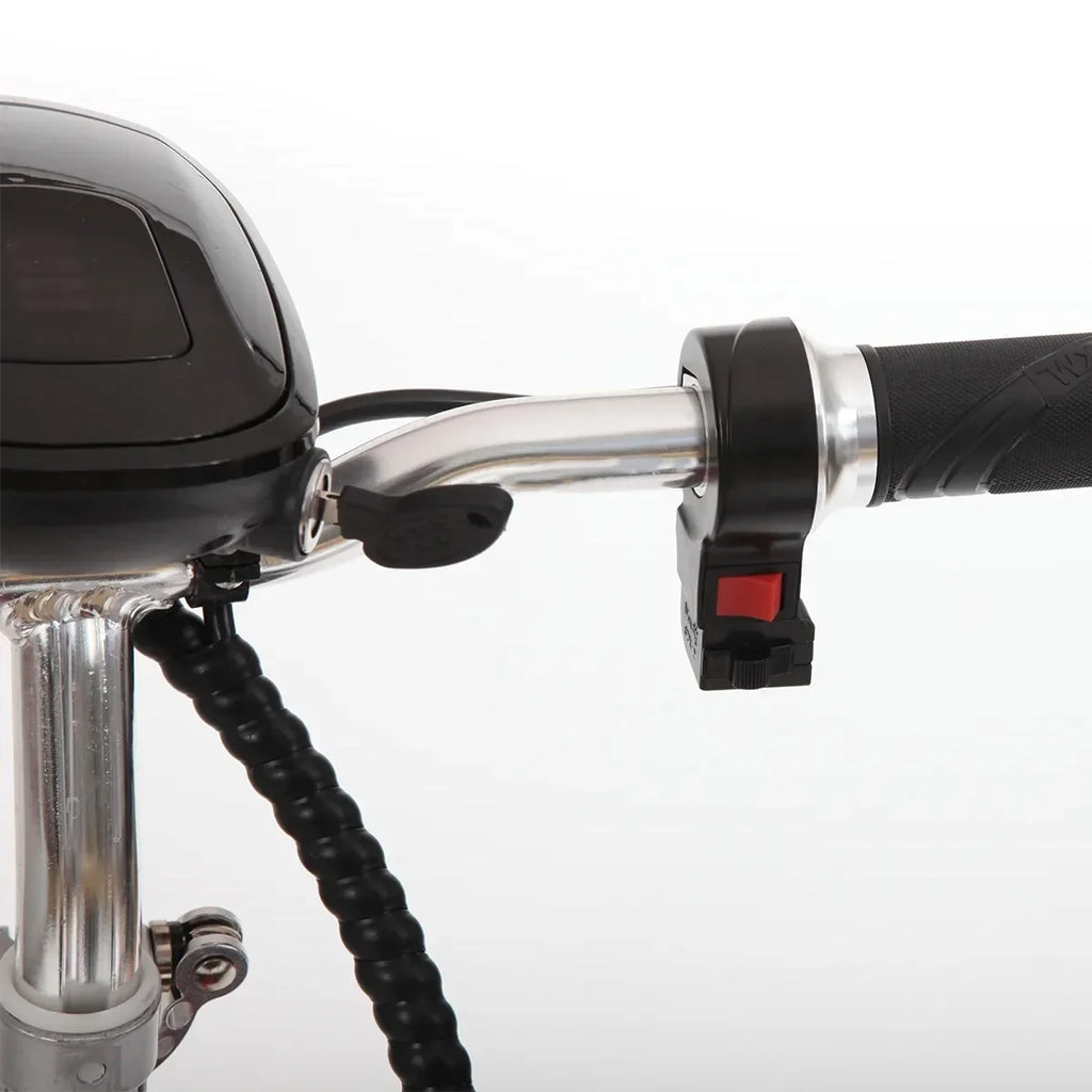 Black 3 Wheel Scooter A133