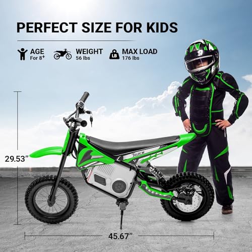 Pink Electric Dirt Bike with 350W Motorcycle D865