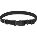 Dog Collar F126033
