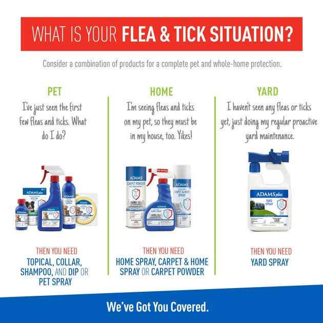 Foaming Flea And Tick Shampoo with Aloe And Cucumber Y7005