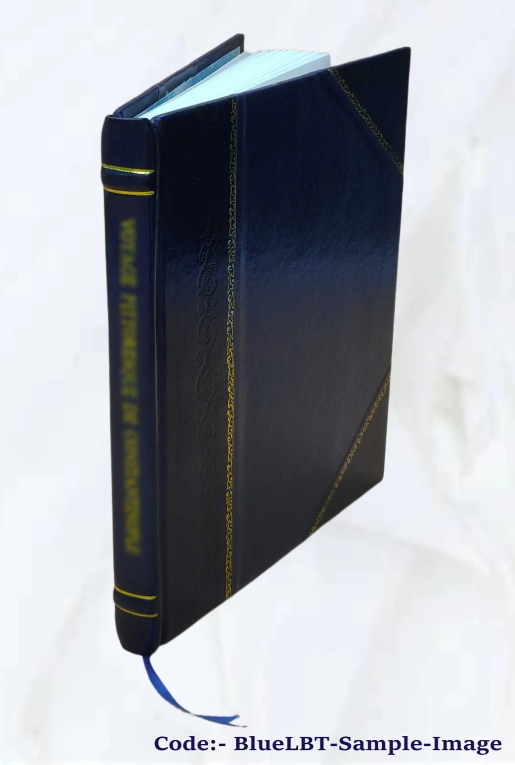 1918 Leather Bound Report T35692