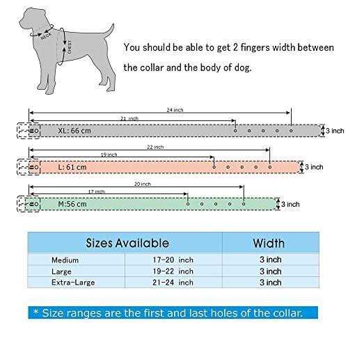 3 Inch Spiked Studded Leather Dog Collar C47500