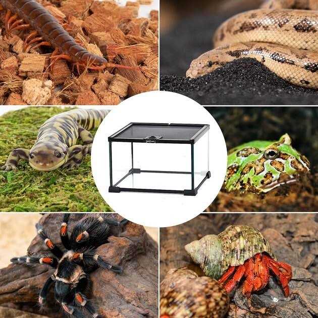 5 Gallon Terrarium N358762
