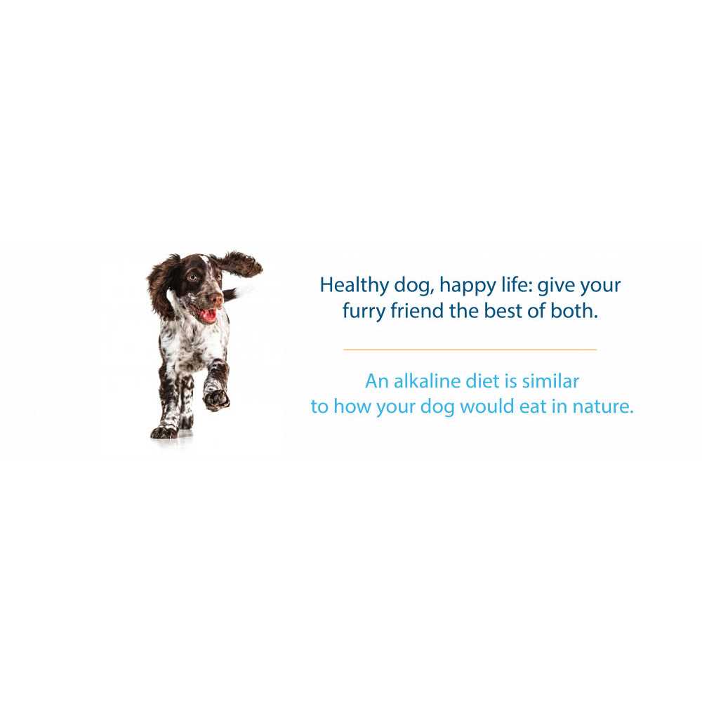Grain Free Dry Dog Food P97422