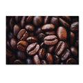 Canvas Art C3458