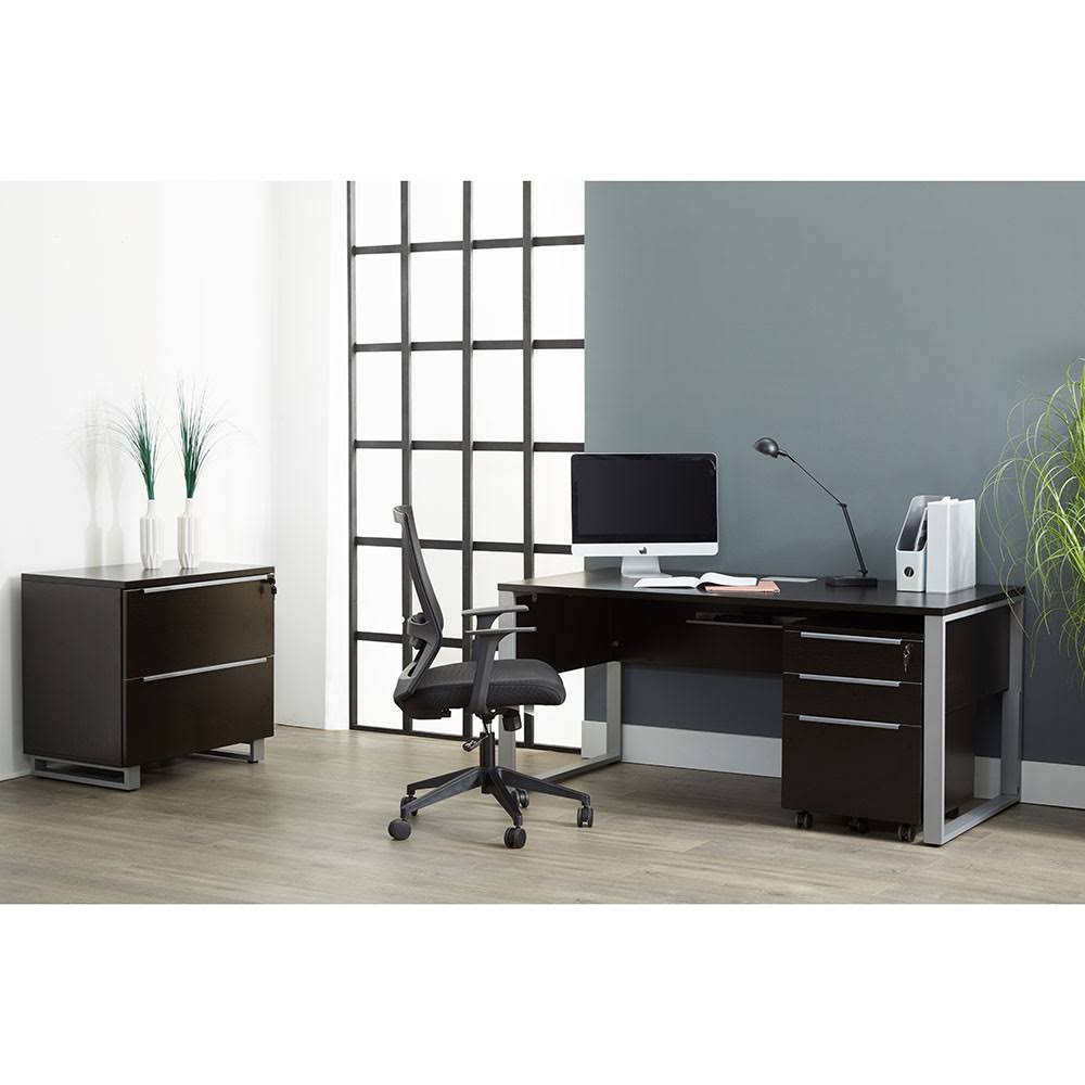 Espresso Lateral File Cabinet W1147