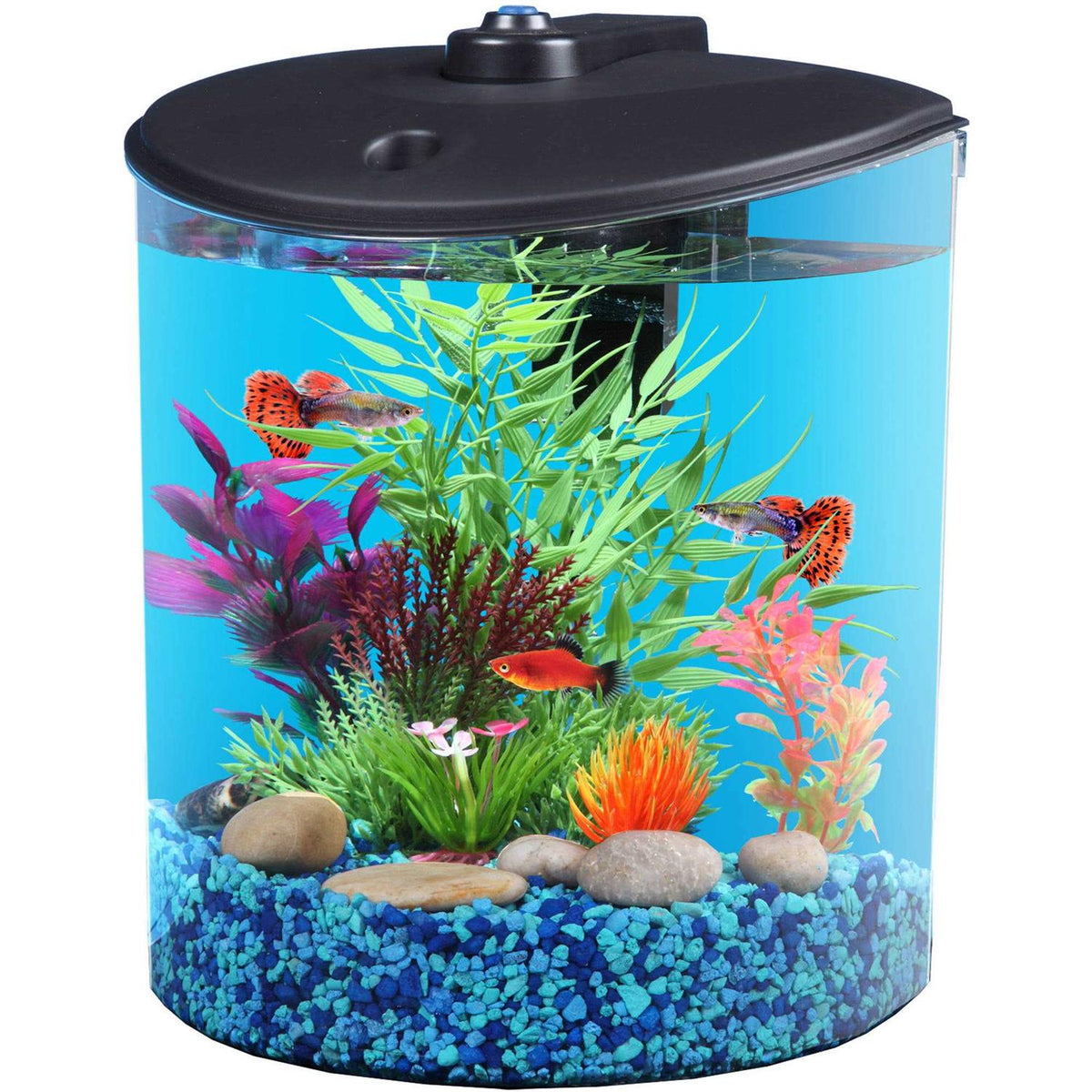 1.5-Gallon Fish Tank with LED Lighting and Power Filter U3691