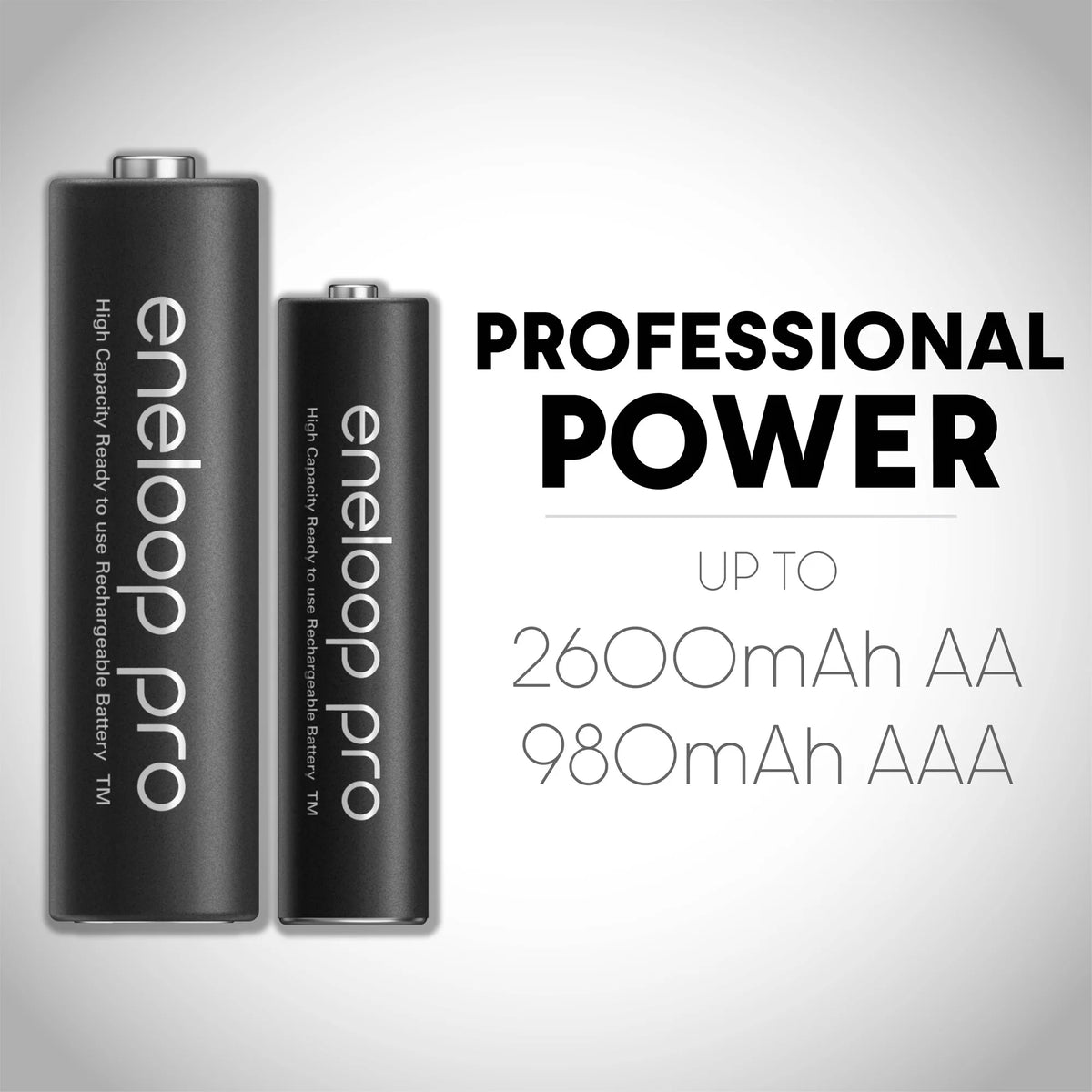 Battery Charger with 4-Pack AA Rechargeable Batteries R36459
