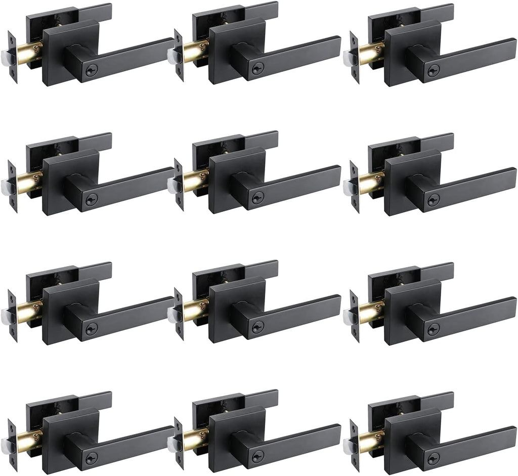 Matte Black Zinc Alloy Privacy Door Lever Lock C301
