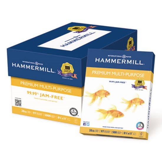 Multipurpose Paper 20-lb. 8-1/2 x 11 White 5000/Carton D29921