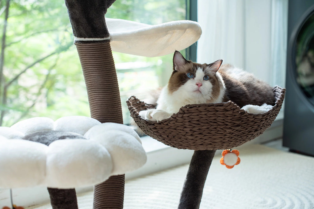 Natural Blossom Woven Tree Branches 6-Level Cat Tree with Hammock T30645