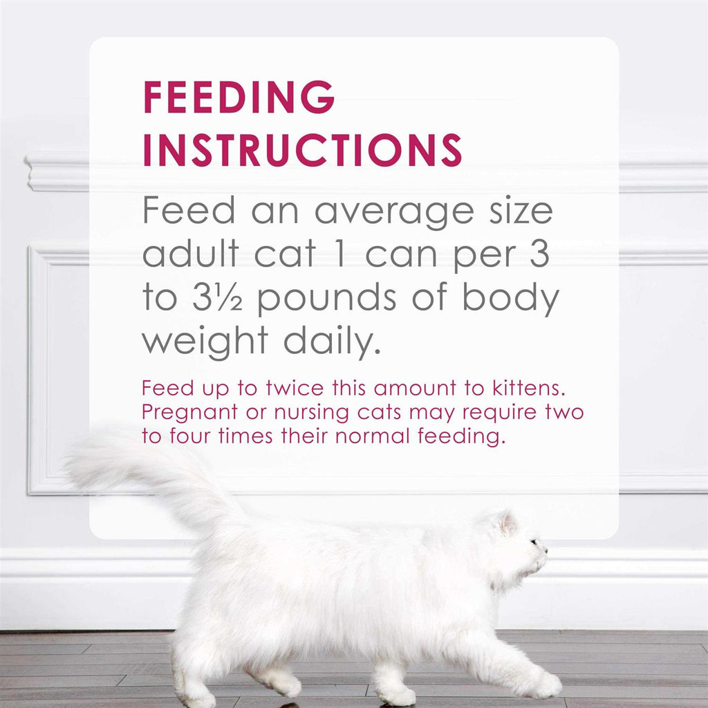 Chicken Pate Wet Cat Food X6627