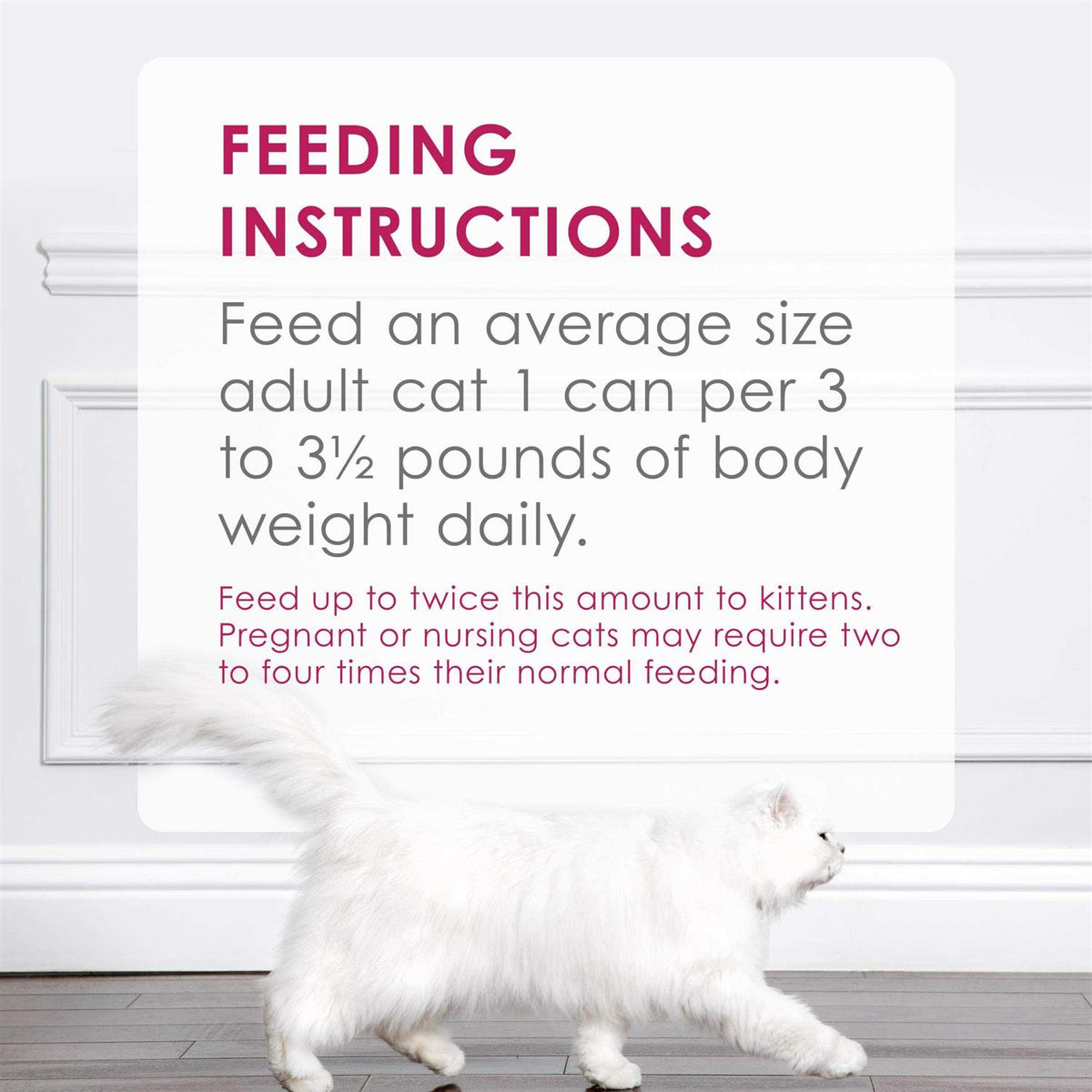 Chicken Pate Wet Cat Food X6627