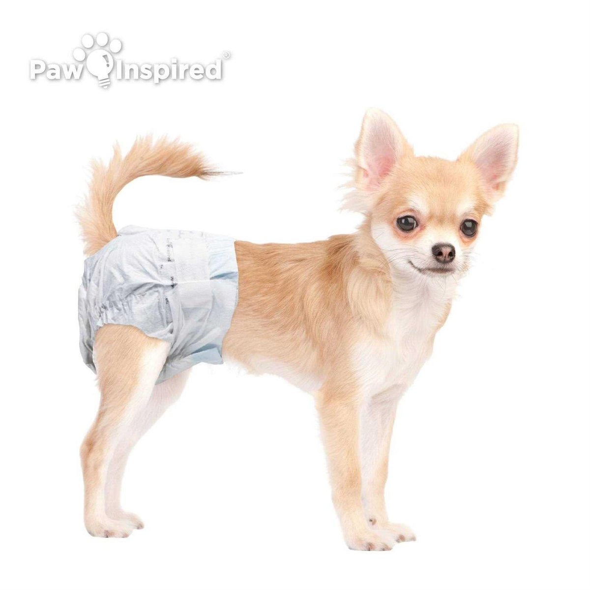 Disposable Female Dog Diapers Ultra Protection A658