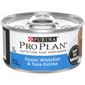 Grain Free Pate Wet Cat Food F566