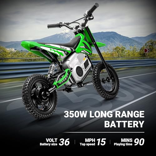 Pink Electric Dirt Bike with 350W Motorcycle D865