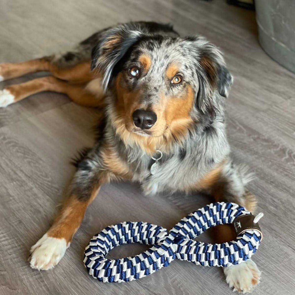 Braided Infinity Tug Toy A330939