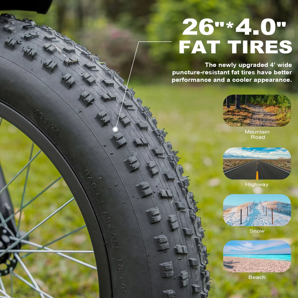 Electric Bike 26 Fat Tire 750W 48V F77960