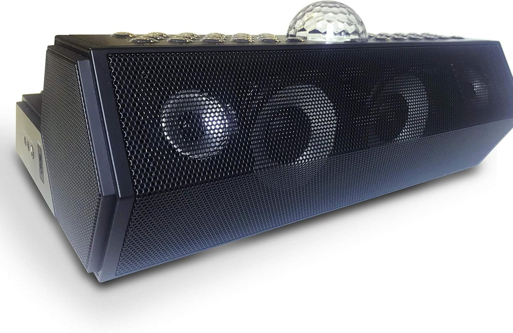 Karaoke Machine with Two Mics I525982