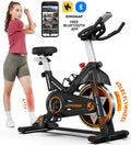 Indoor Cycling Bike Stationary Magnetic Resistance 35lbs B524725
