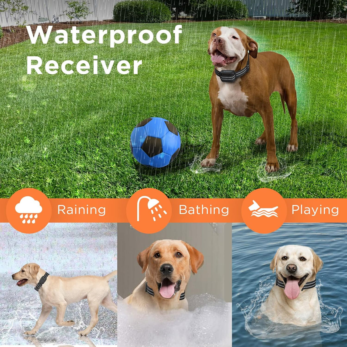 Dog Training Collar with Remote, Vibration Beep Modes, Waterproof Rechargeable, Pack of 2 X440