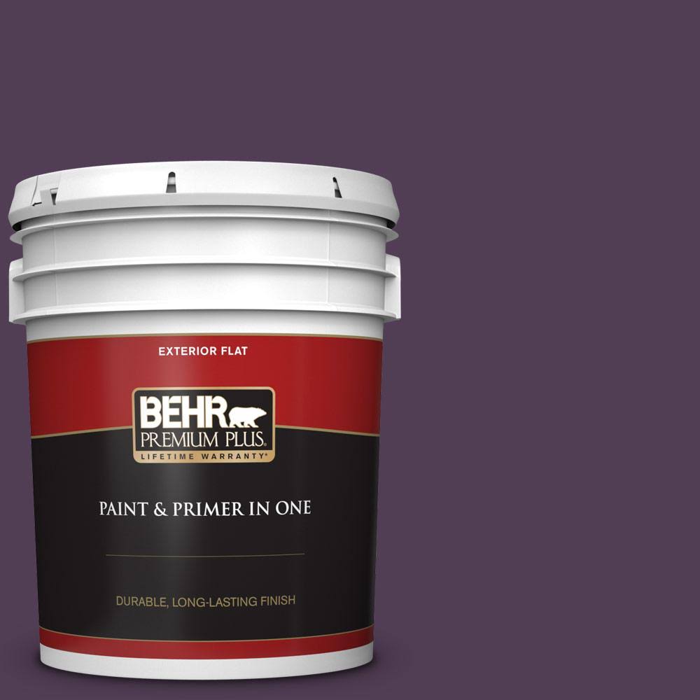 5 gal. Flat Exterior Paint and Primer in One K48577