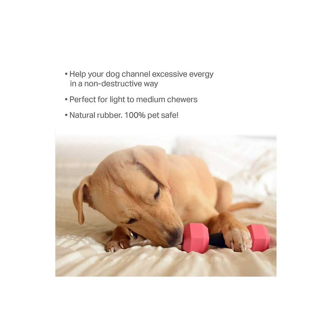 Rubber Chew Dog Toys 2-piece Set F215