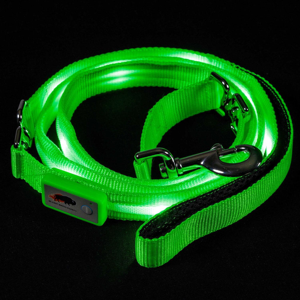 LED Dog Leash with Flashing Light C768390