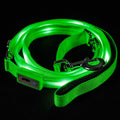 LED Dog Leash with Flashing Light C768390