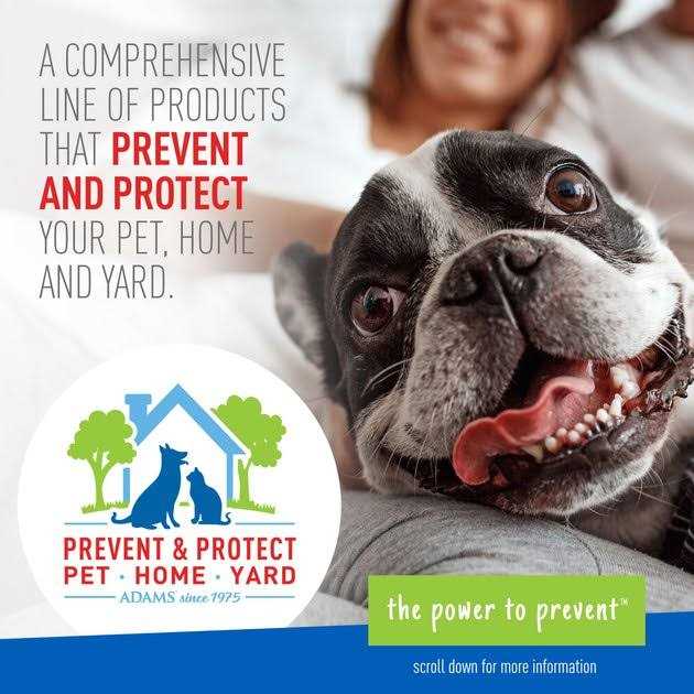 Foaming Flea And Tick Shampoo with Aloe And Cucumber Y7005
