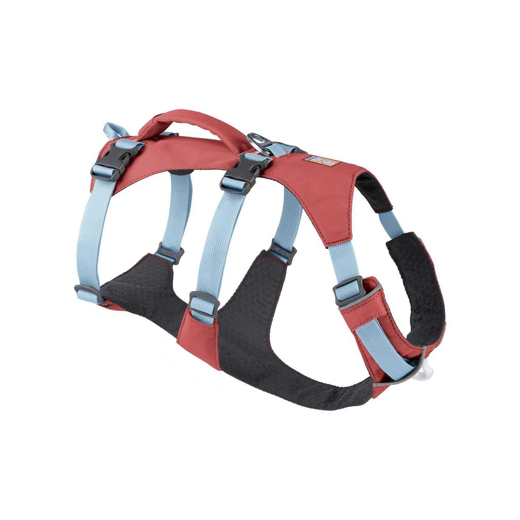 Harness H19767