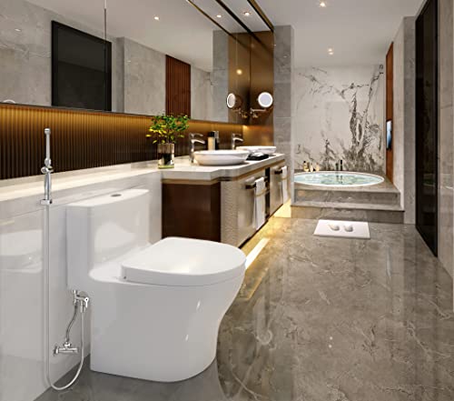 HandHeld Bidet Sprayer with Dual Pressure Controls Z323