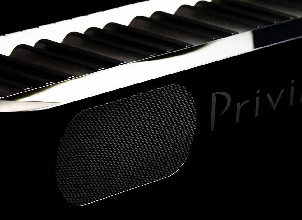 88-Key Black Digital Piano F651