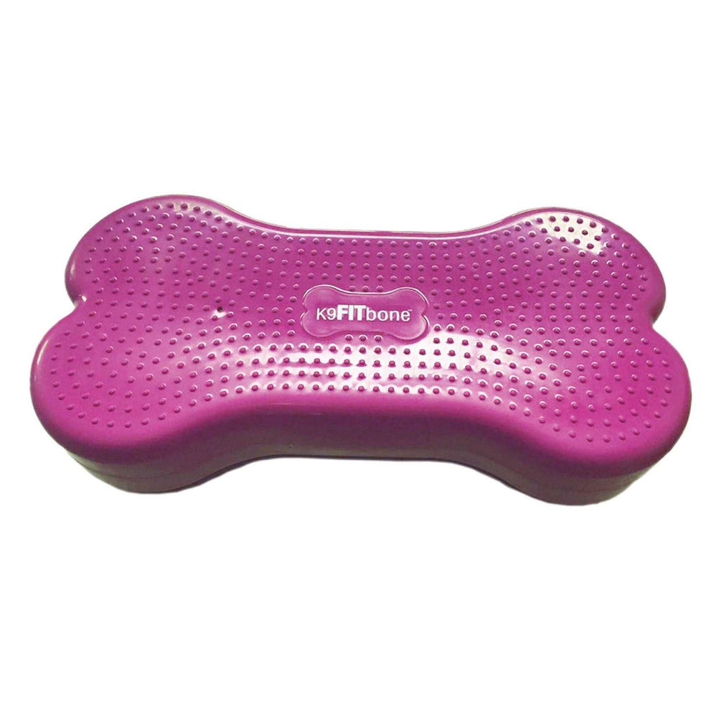 Agility Training Pet Supplies H4737