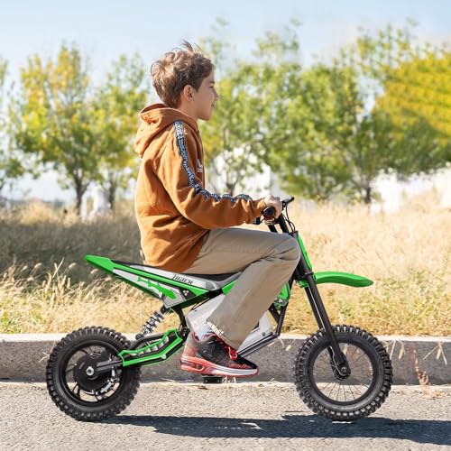 Pink Electric Dirt Bike with 350W Motorcycle D865