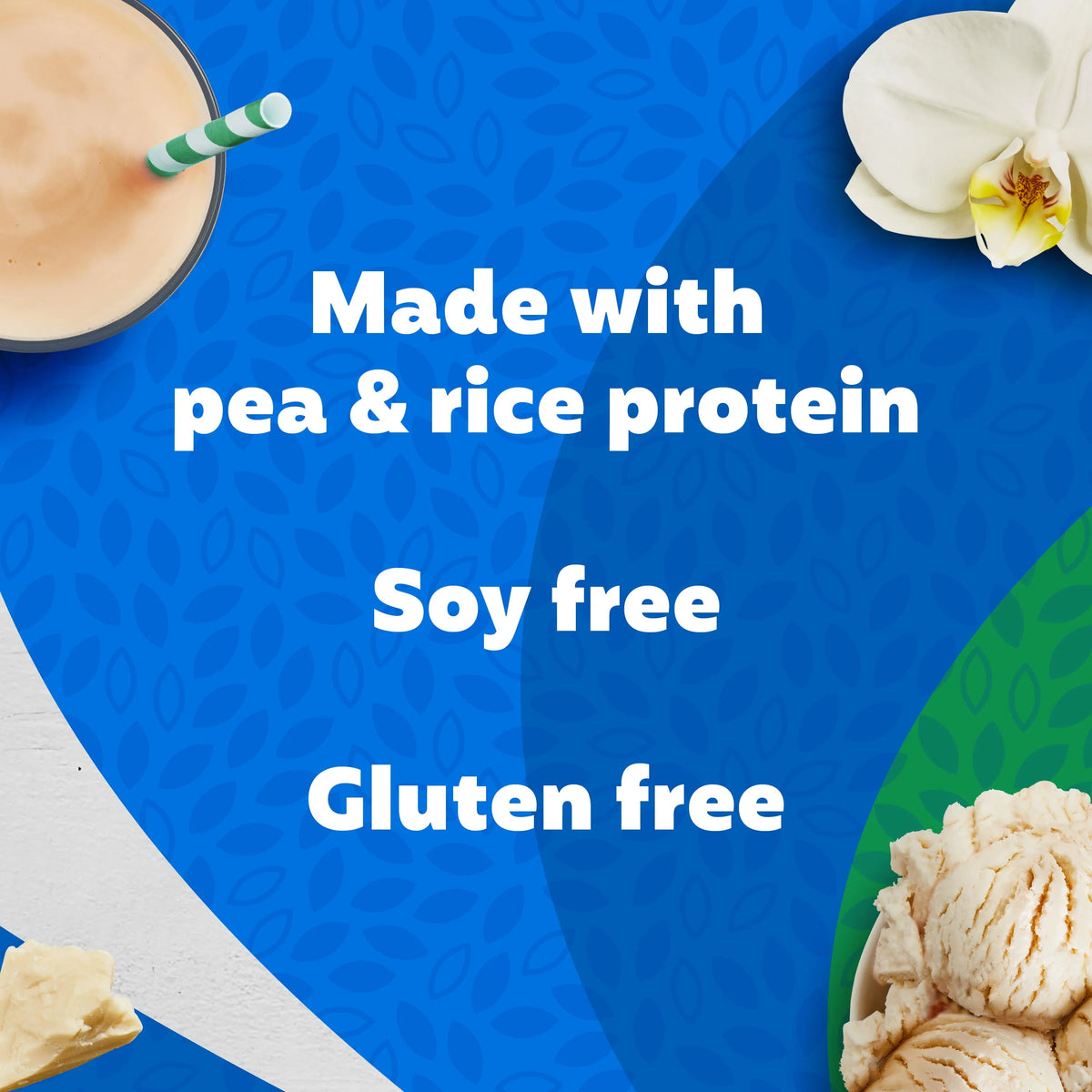 Vanilla Plant Protein Powder, 15 Servings G753183
