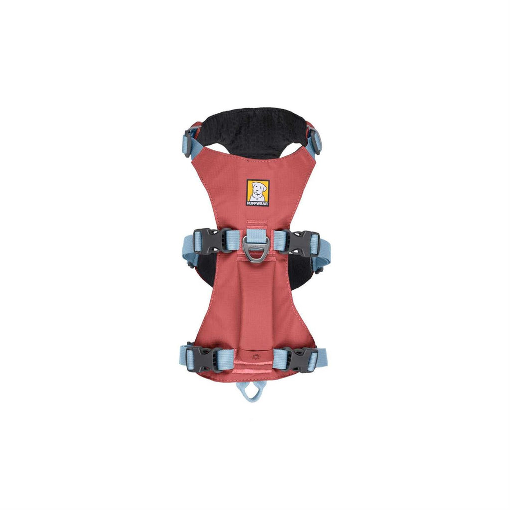 Harness H19767