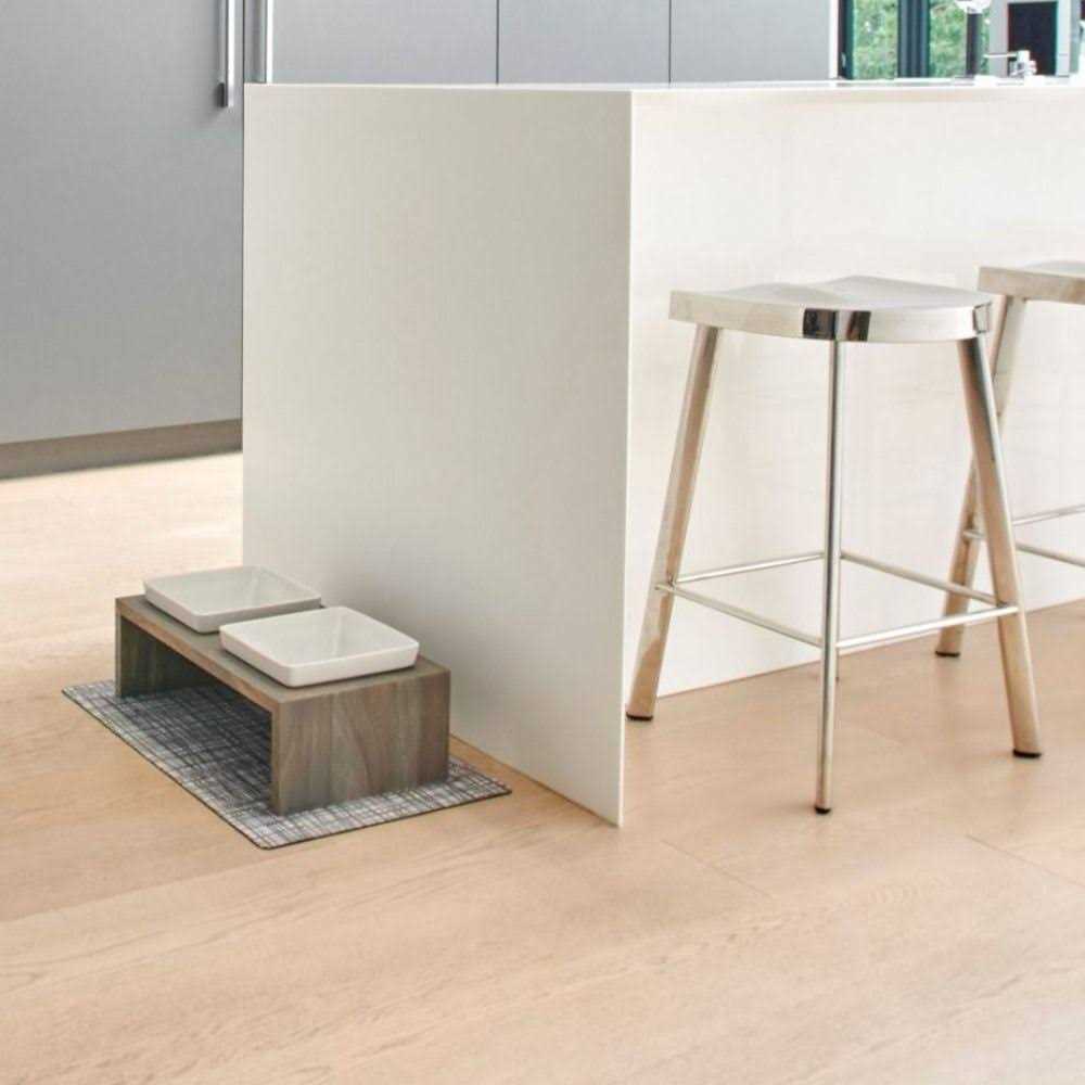 Double Dog Feeder D3488