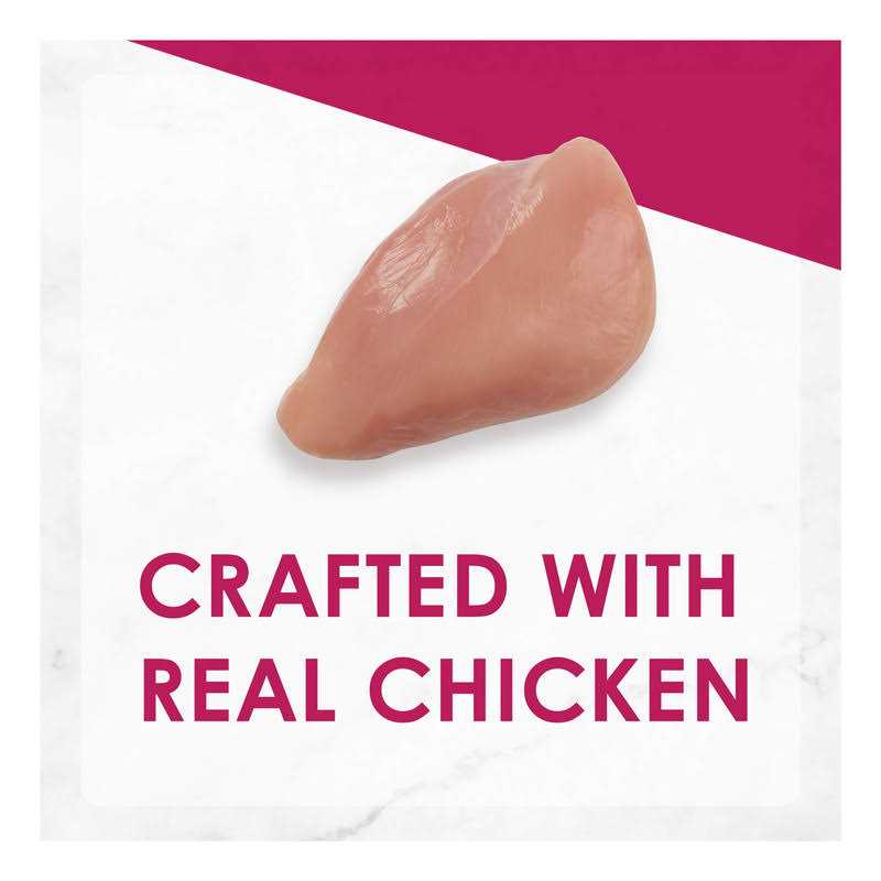 Chicken Pate Wet Cat Food X6627