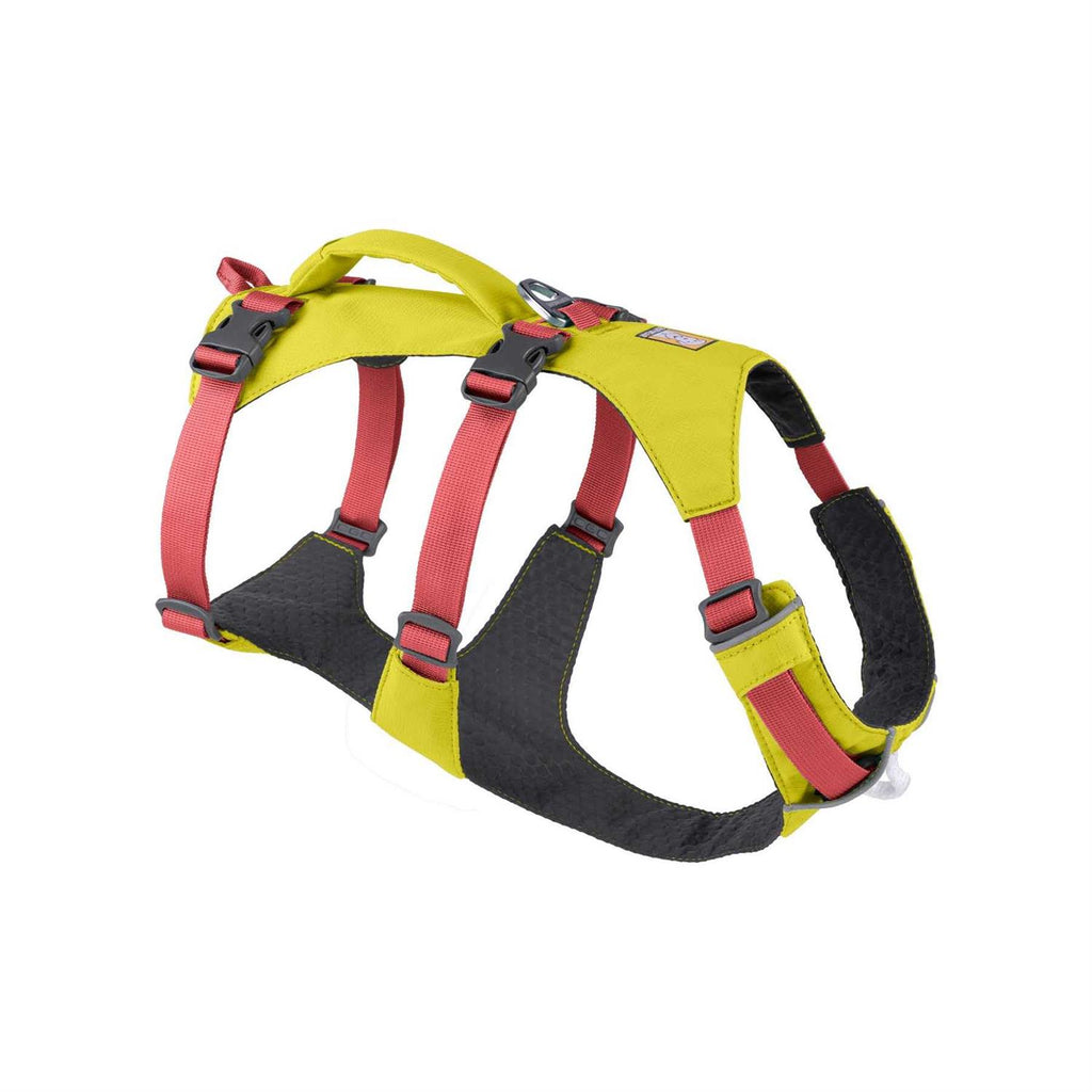 Harness H19767