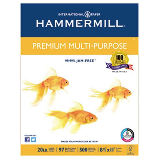 Multipurpose Paper 20-lb. 8-1/2 x 11 White 5000/Carton D29921