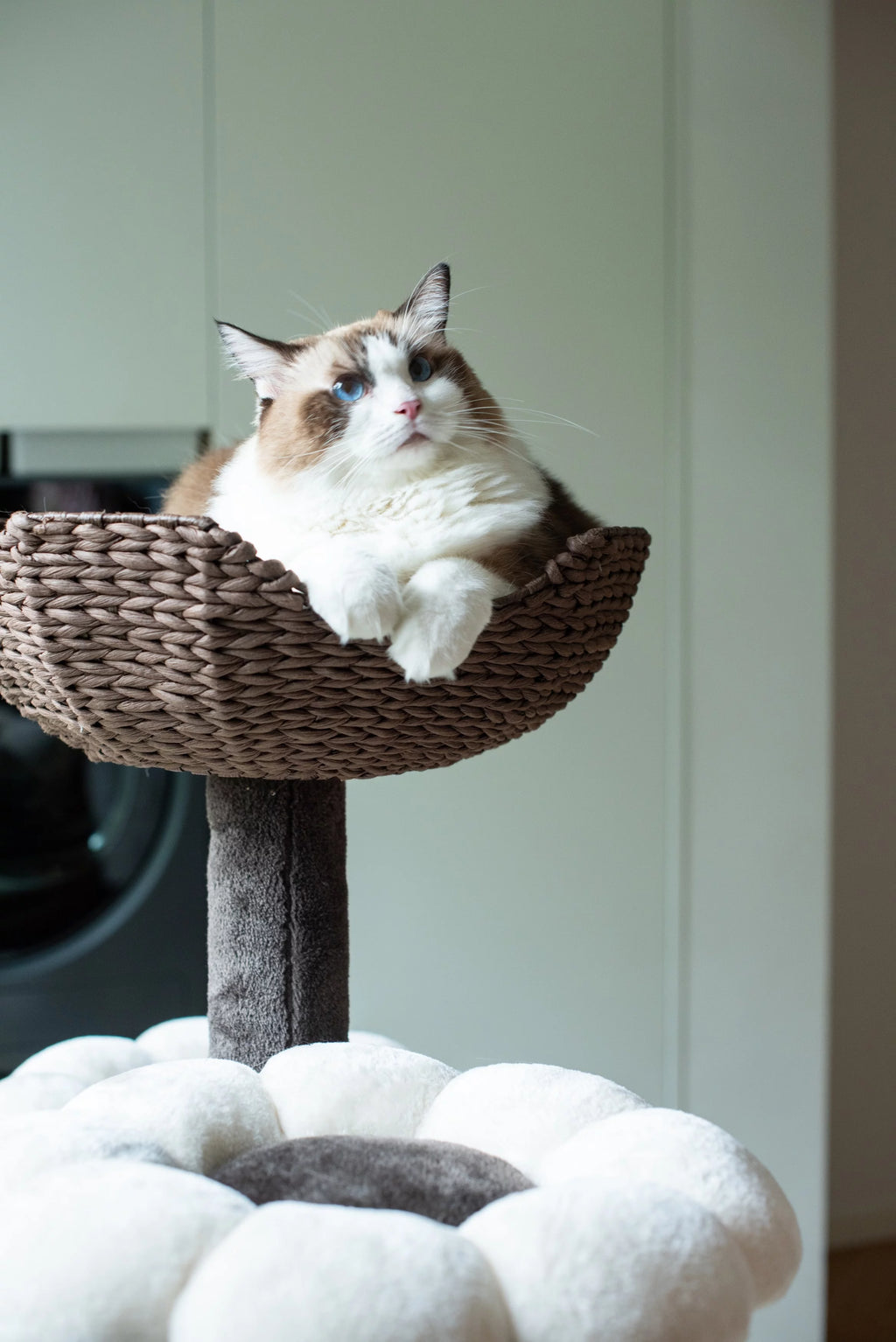 Natural Blossom Woven Tree Branches 6-Level Cat Tree with Hammock T30645