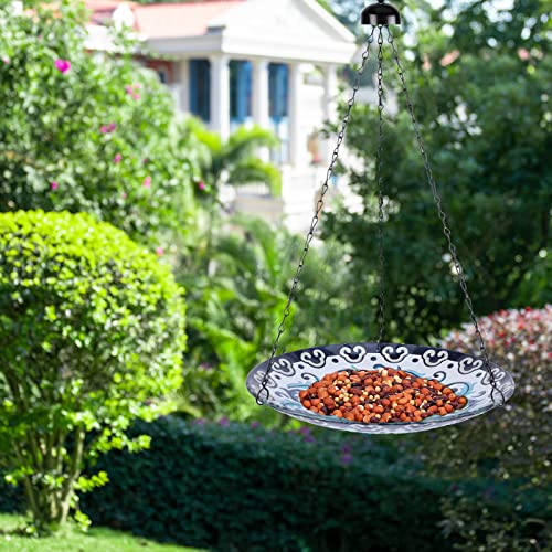11 Inch Glass Bird Bath Bowl Q5308
