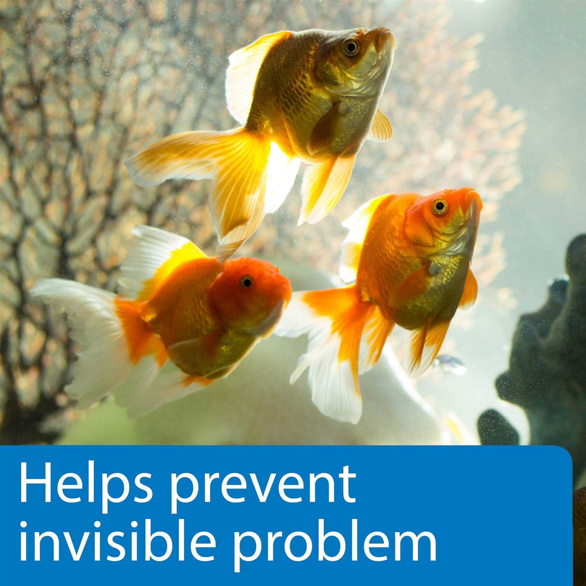 5 in 1 Aquarium Test Strips C4262