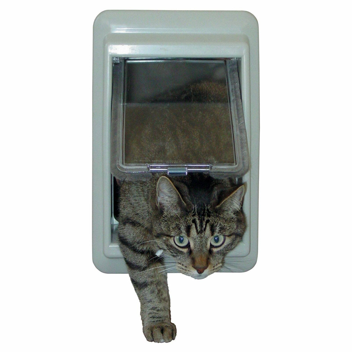 Pet Door Q6420
