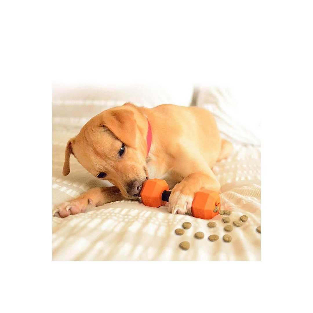 Rubber Chew Dog Toys 2-piece Set F215