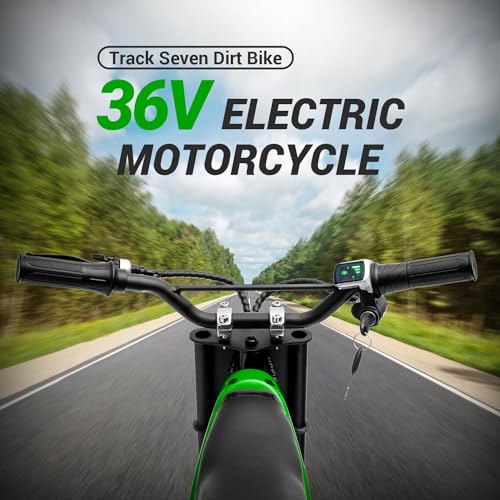 Pink Electric Dirt Bike with 350W Motorcycle D865
