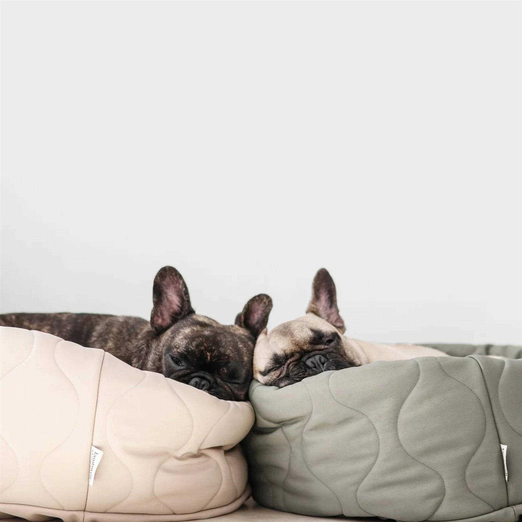 Reversible Donut Pet Bed H106